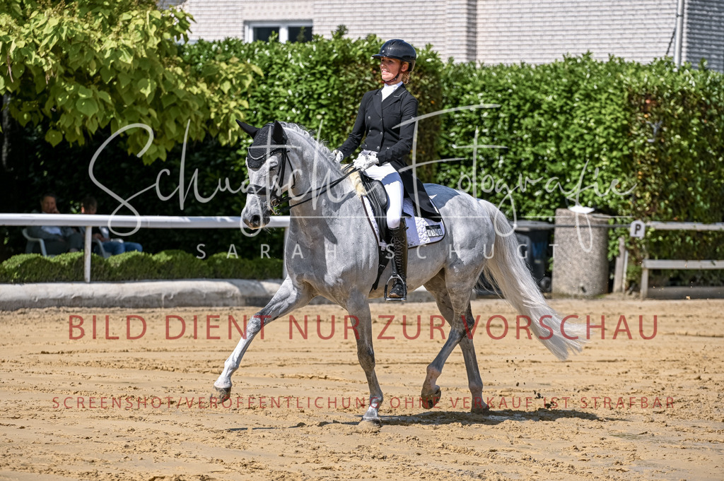 Schugtsche-Aluta25-58. Dressurprf.S1Kand.St.GeorgSpecial-121 | Schugtsche Fotografie - Realisiert mit Pictrs.com