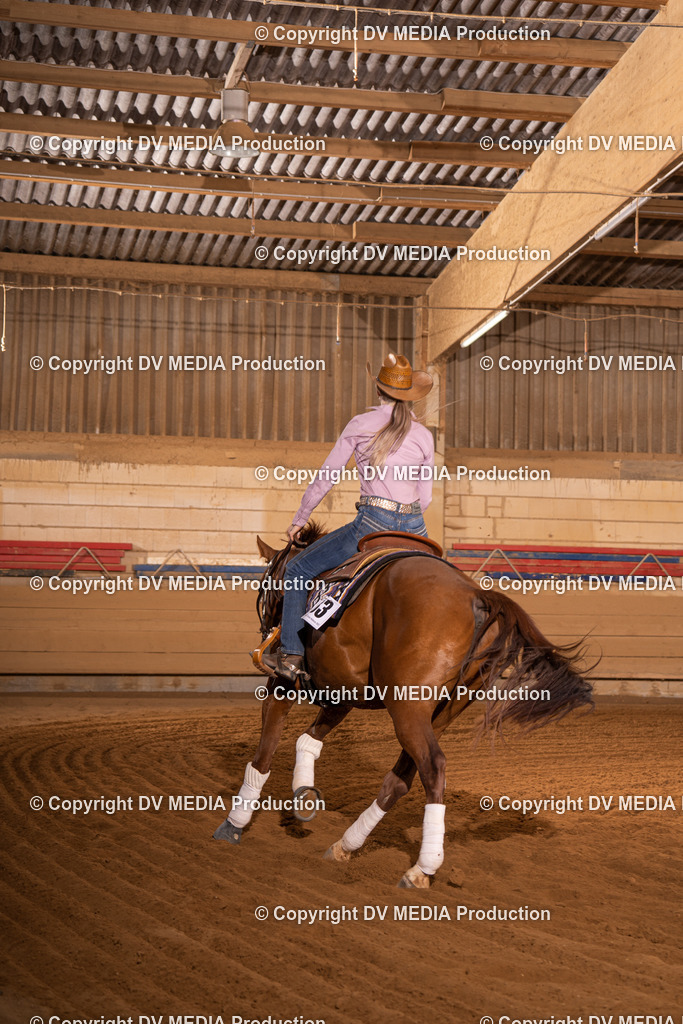 NID00999 | dv-media-shop - Realisiert mit Pictrs.com