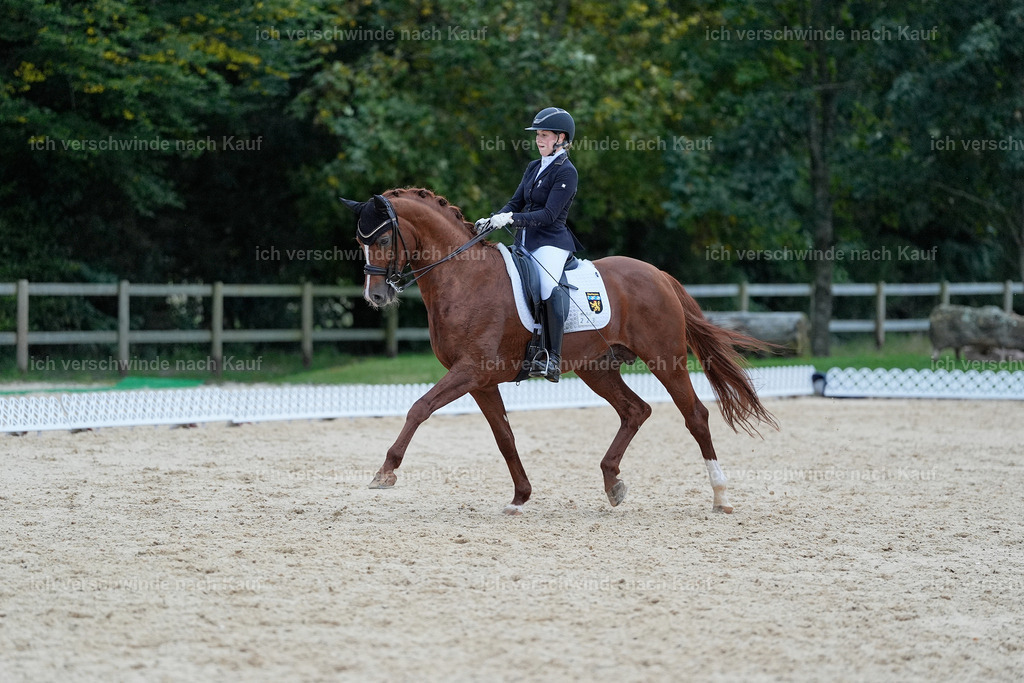 04_2-223-Dressur M__ -StoibPH-2959 | working equitationturnier fotograf videograf stoibphotography marixx film working equitation deutschland reitsport turnierfotografie eventfotografie equestrian events