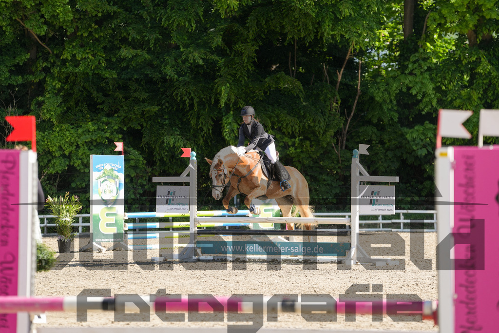 DSC02028 | Julian Held Fotografie - Realisiert mit Pictrs.com