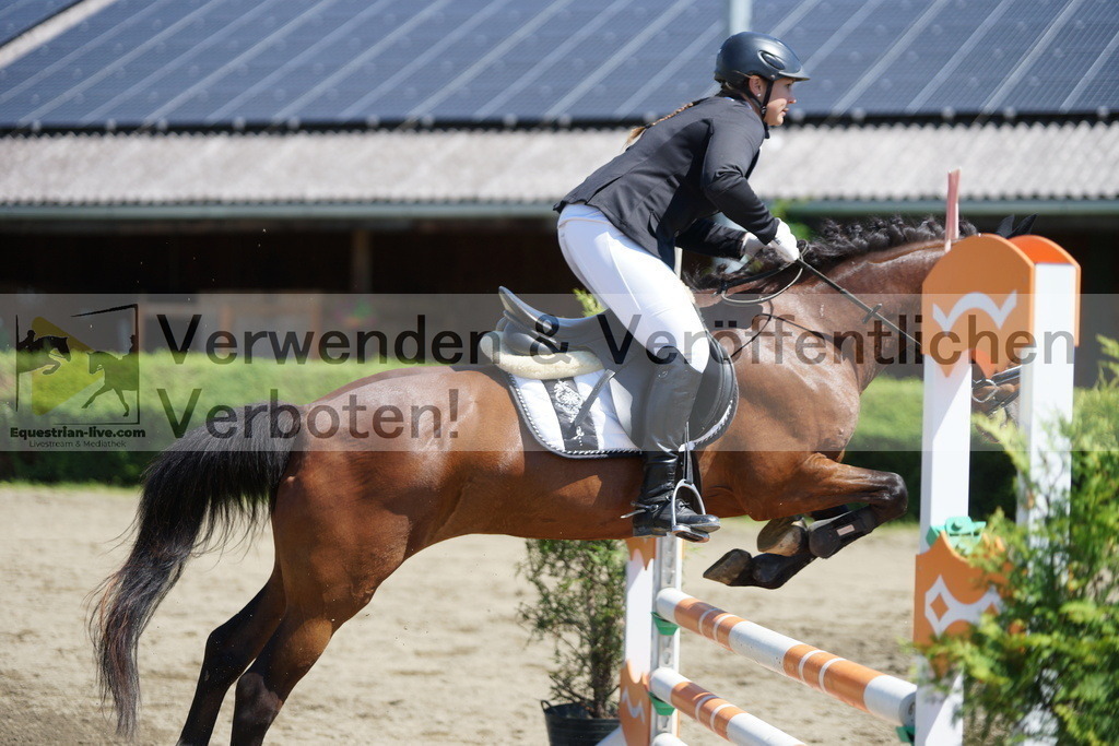DSC05979 | equestrian-live-com