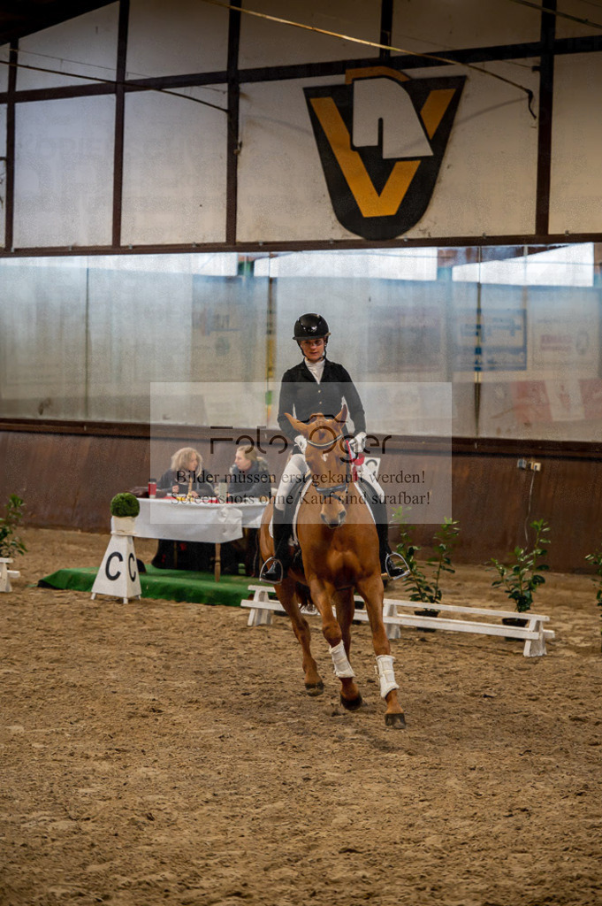 Hallenreittunier Voxtrup 2023 | Entdecke hochwertige Reitturnierfotos von Foto Oger. Professionell, emotional und authentisch – jetzt Lieblingsmomente im Shop bestellen.Deutschlandweite Turnierfotografie. - Realisiert mit Pictrs.com