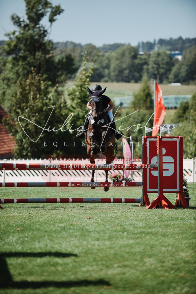 DSC_3281 | Pferde- und Turnierfotografie in Westsachsen. Pferdeportraits, Auftragszeichnungen und intuitive Kunst.