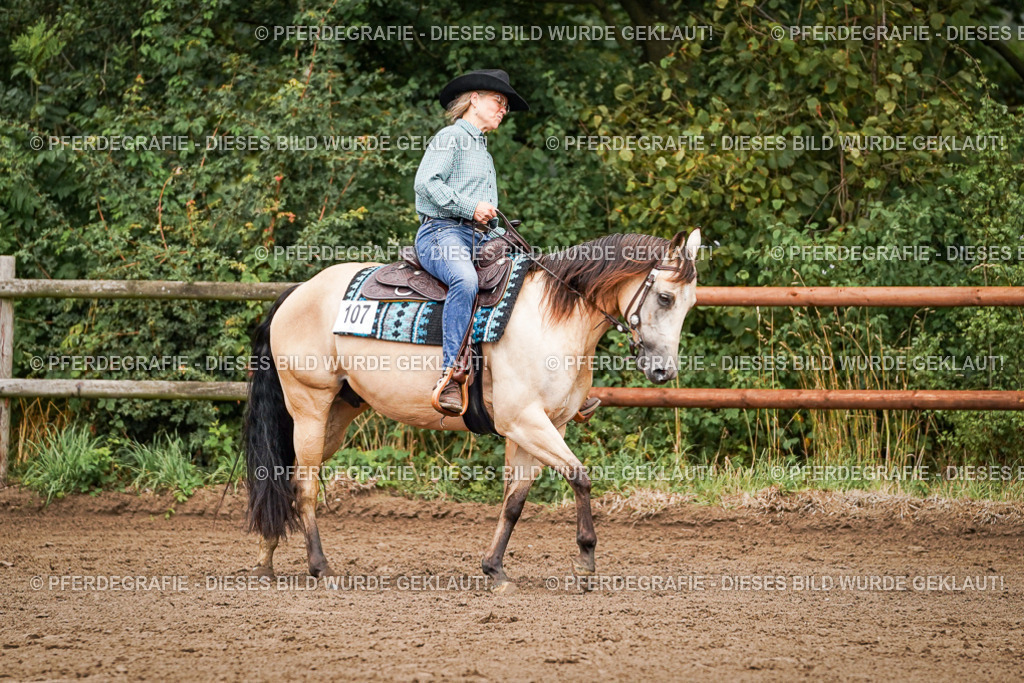 DSC06269 | Pferdegrafie