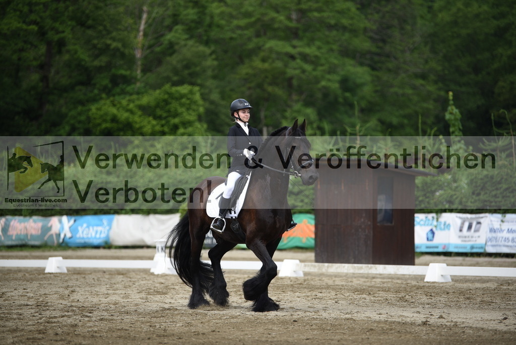 DSC_8462 | equestrian-live-com