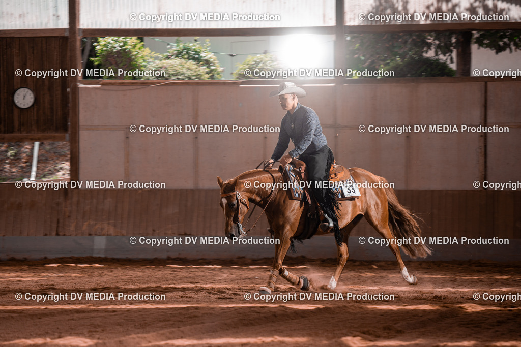 NE100740 | dv-media-shop - Realisiert mit Pictrs.com