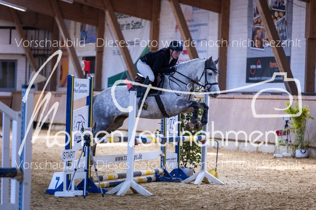 Sth-Gewöhnung-039 | MomenTaufnahmen Pferdesportfotos