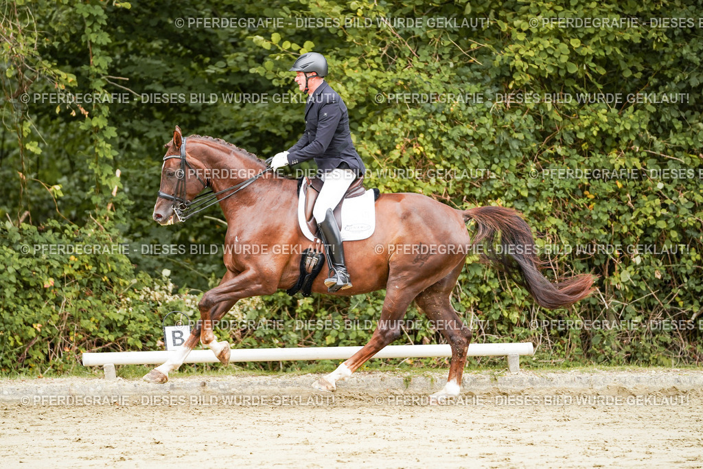 DSC03725 | Pferdegrafie