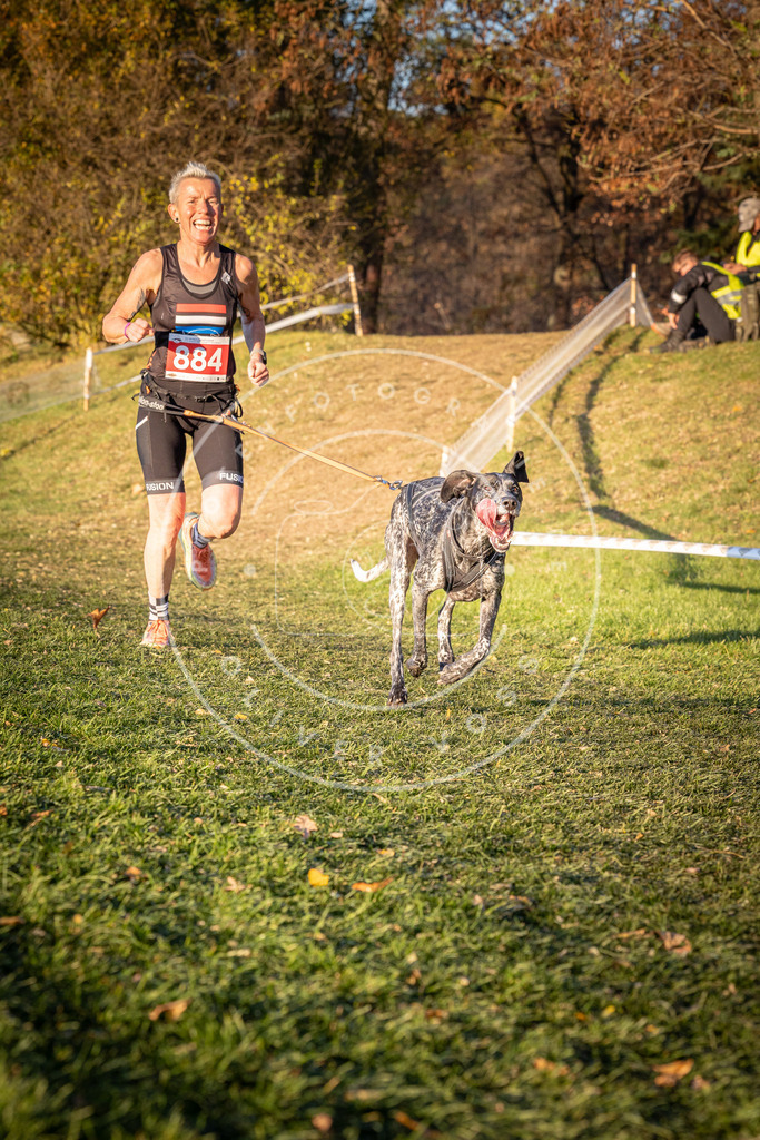 CaniXpix_0L8A1206 | Hundefotografie, Tierfotograf, Pfotenfotografie, Fotoshooting Hund, Hunde Portrait, Hundesport, Hundeportraits, Heideshooting, Hunde, Sportfotograf, Hundefotograf, Turnierhundsport, THS,  - Realisiert mit Pictrs.com