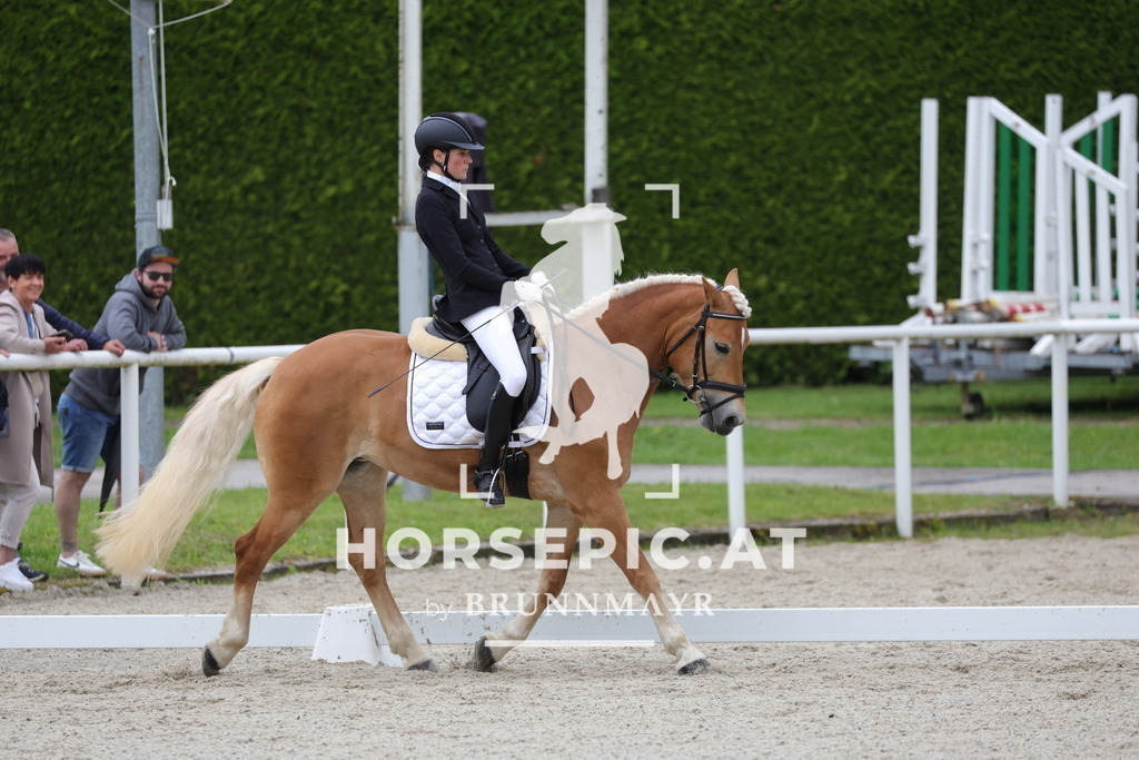0P6A5224 | Willkommen bei Brunnmayr - Design & Fotografie – Ihrem Spezialisten für Reitturniere und Pferdeveranstaltungen in Oberösterreich, Salzburg und Bayern! Seit über 17 Jahren sind wir leidenschaftlich dabei.