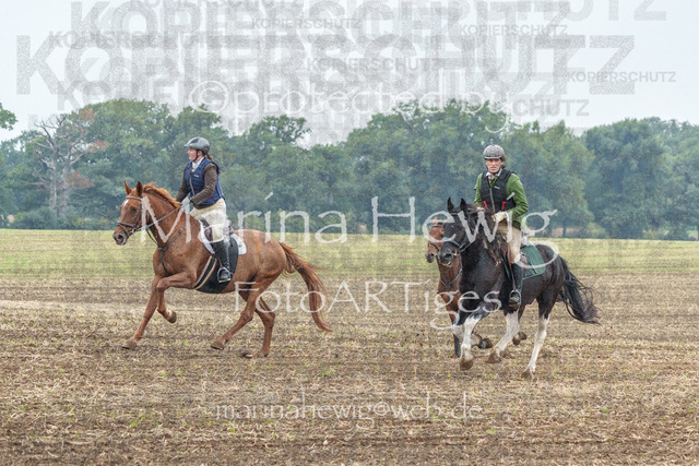 Jagd Perdoel_MarinaHewigMCH04179 | Fotografie, FotoArt, PferdesportArt, Pferdesportfotografie, Landschaftsfotografie, Reisefotografie, Reise, Pferde - Realisiert mit Pictrs.com