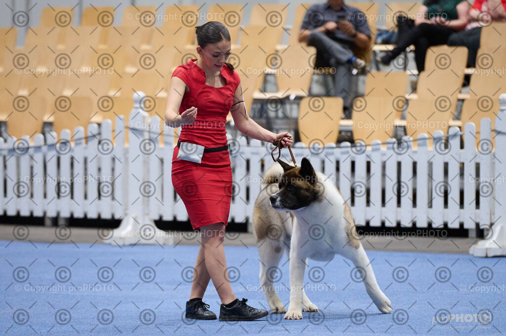 202406_ÖKV-IHA-Tulln24_DSC_3326 | proPHOTO - Realisiert mit Pictrs.com