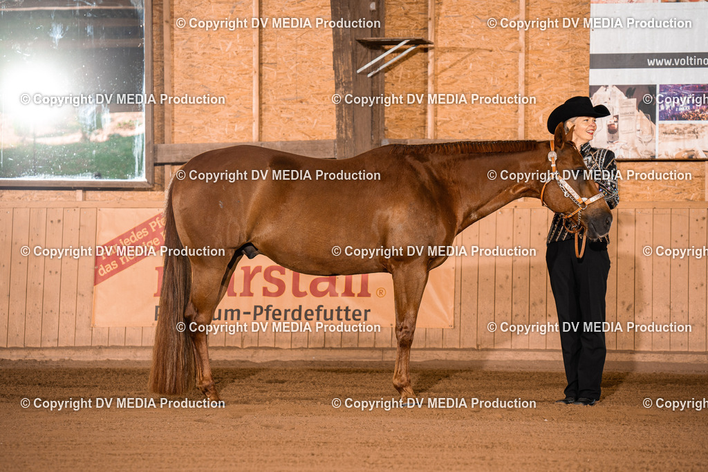 NE100026 | dv-media-shop - Realisiert mit Pictrs.com