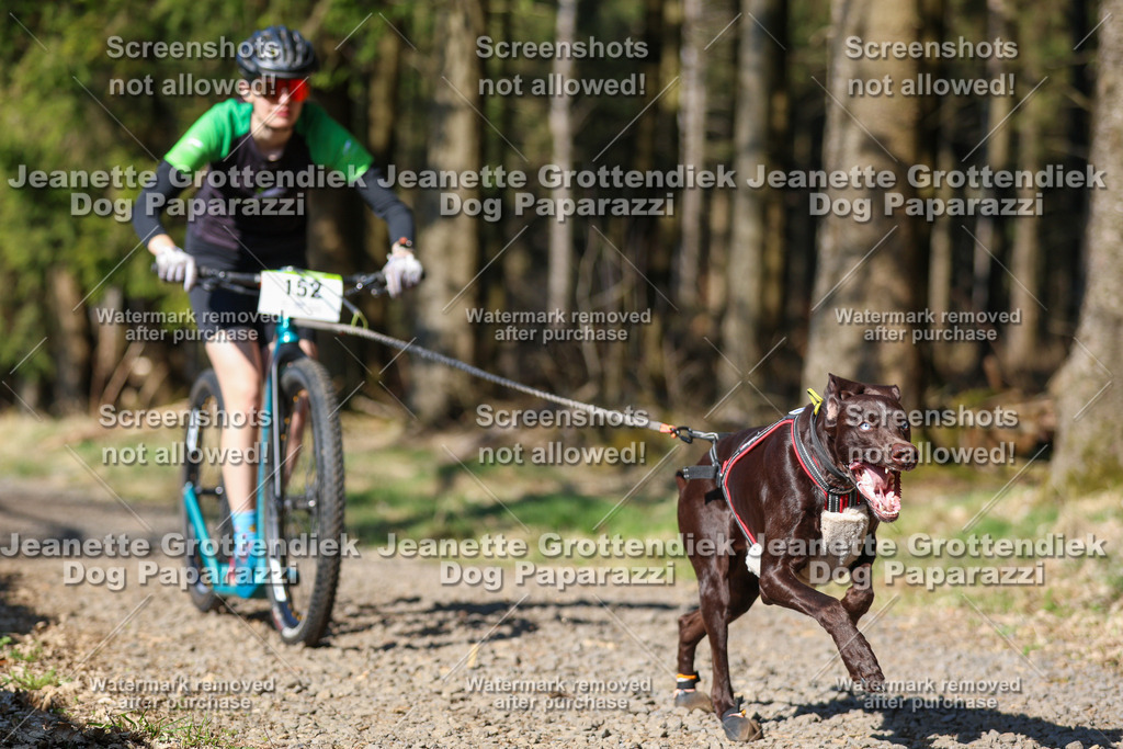 Dog Paparazzi - VCC26-111 | Dog Paparazzi Jeanette Grottendiek Fotografie & Videografie - Realisiert mit Pictrs.com