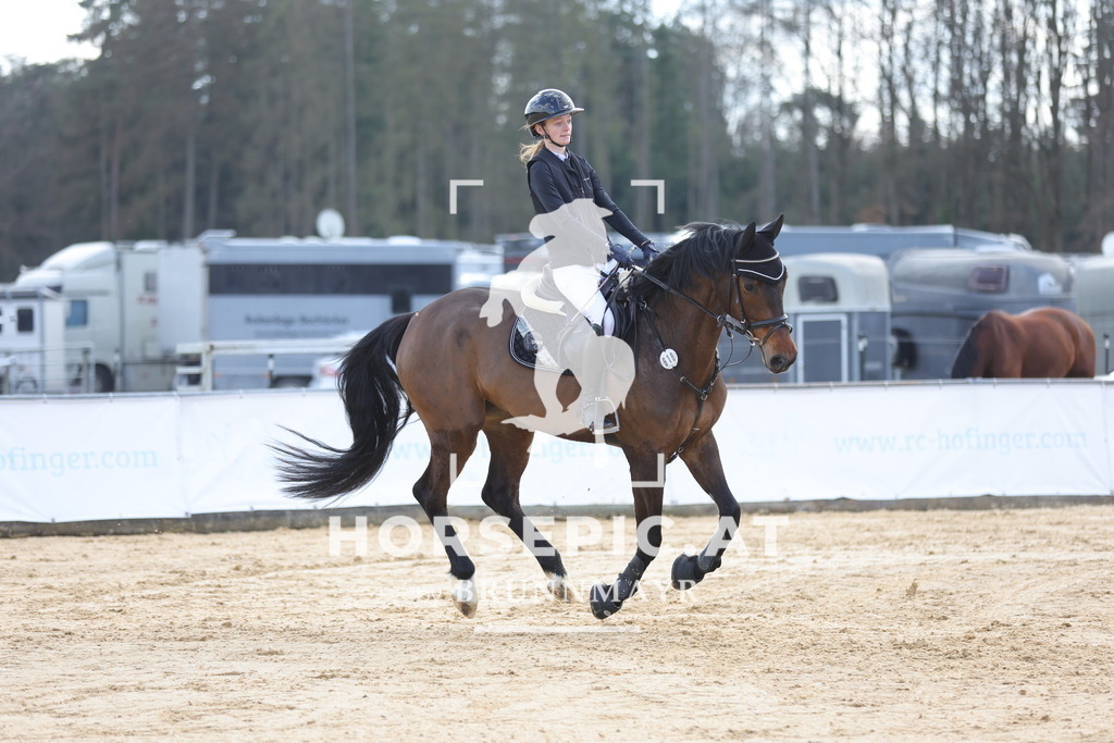 0P6A7208 | Willkommen bei Brunnmayr - Design & Fotografie – Ihrem Spezialisten für Reitturniere und Pferdeveranstaltungen in Oberösterreich, Salzburg und Bayern! Seit über 17 Jahren sind wir leidenschaftlich dabei.