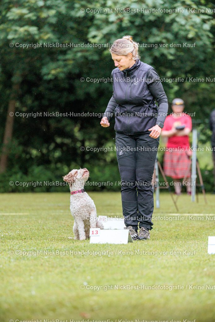 RO-Blumenthal-2026-Nickbest-Hundefotografie-0380 | Dein Hund! Dein Moment! Deine Erinnerungen! Hundefotografie in Bremen Blumenthal. Ich fange die besonderen Momente deines Vierbeiners ein – ob Indoor mit Blitzanlage oder in der freien Natur. Sicher dir dein Moment und dein Termin für eure Erinnerungen.
