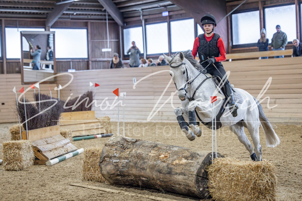 20260221-_3LI9644 | Tierfotografie Pferde, Hunde, Katzen, Haustiere.
Turnierfotografie Reitturniere, Reiten, Springreiten, Dressur in Hanau, dem Main-Kinzig-Kreis und dem Rhein-Main- Gebiet um Frankfurt