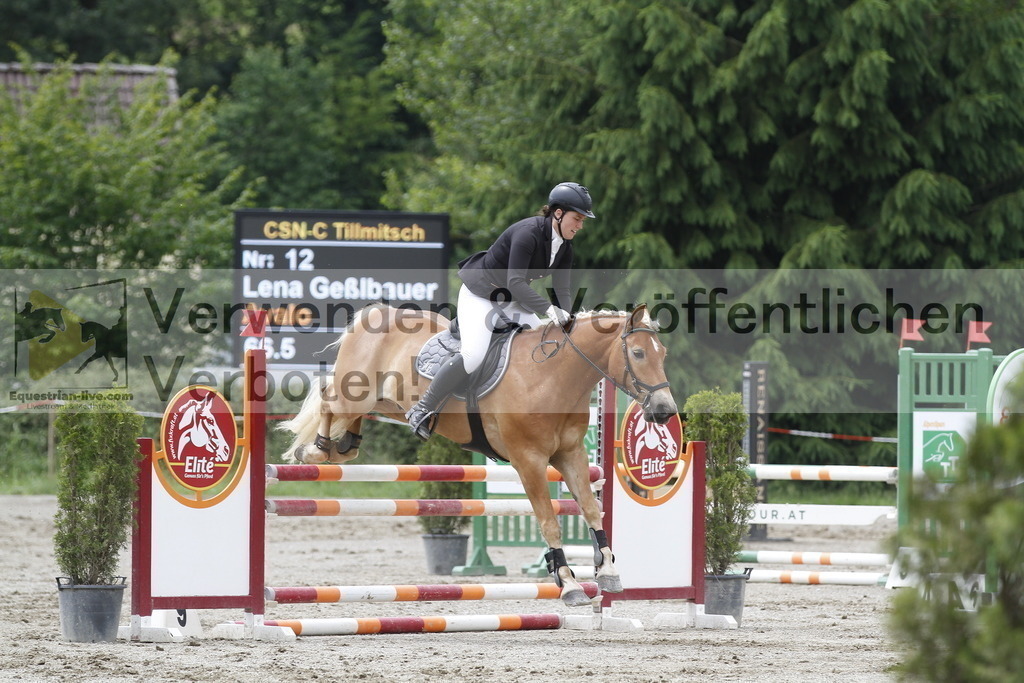 _MG_6138 | equestrian-live-com