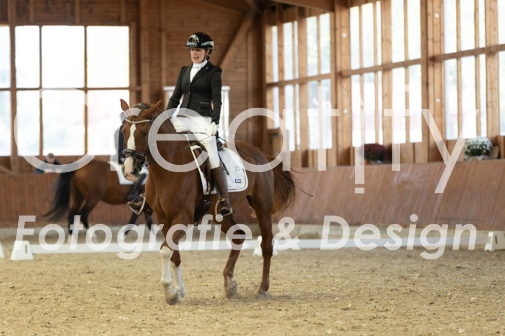 IMG_4861 | Creatify Fotografie