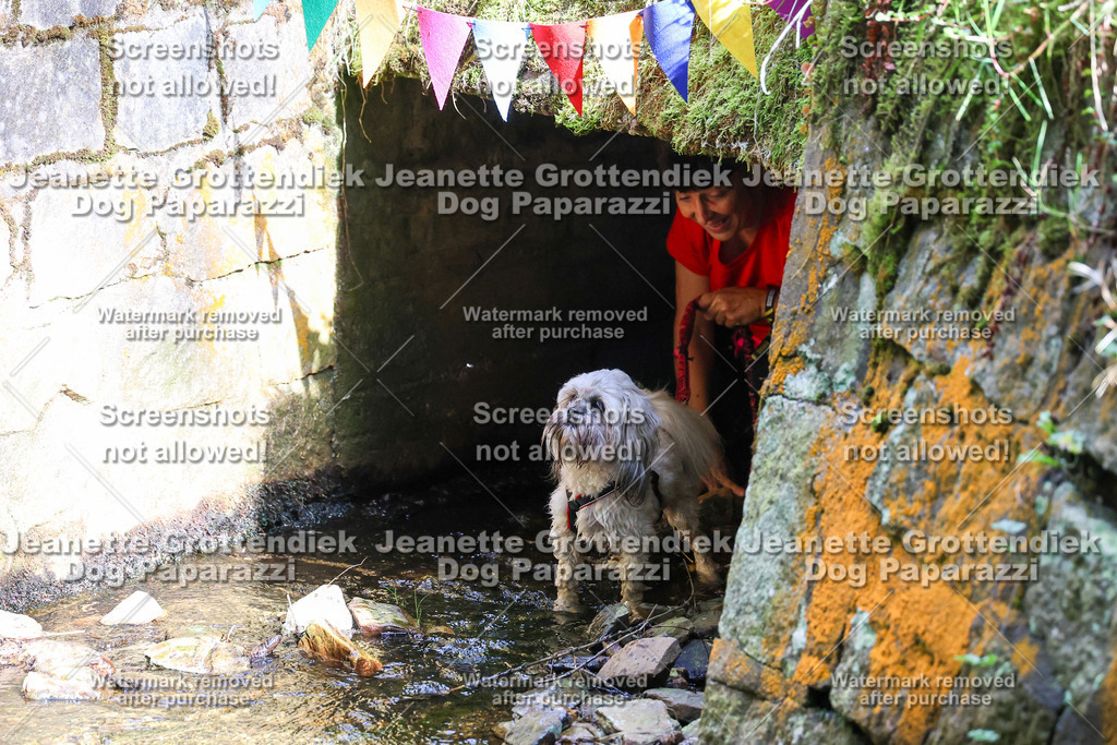 Dog Paparazzi -  TH 26-9 | Dog Paparazzi Jeanette Grottendiek Fotografie & Videografie - Realisiert mit Pictrs.com