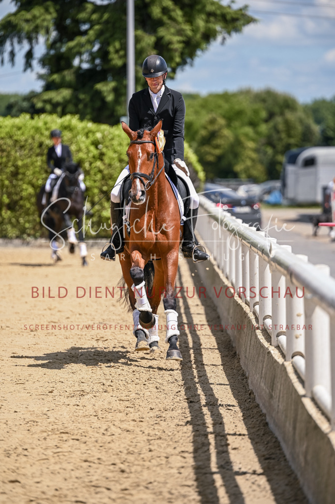 Schugtsche-Aluta25-48.Reitpferfdeprf.-319 | Schugtsche Fotografie - Realisiert mit Pictrs.com