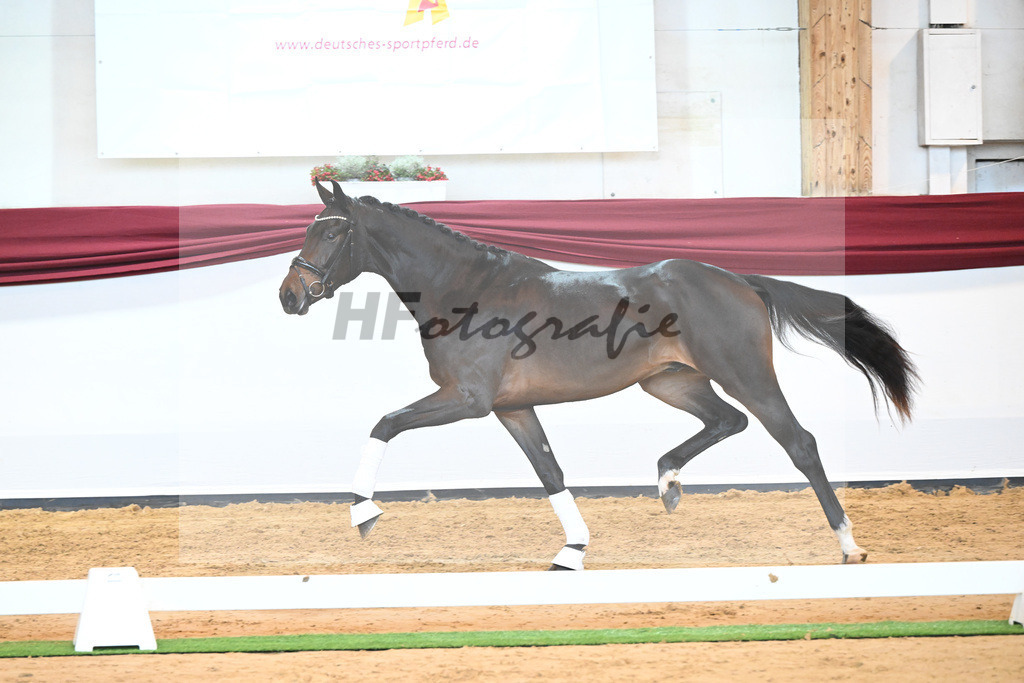 Kat-Nr. 76 v. Zackerey_Pfitzer_66221973 | hf-fotografie - Realisiert mit Pictrs.com
