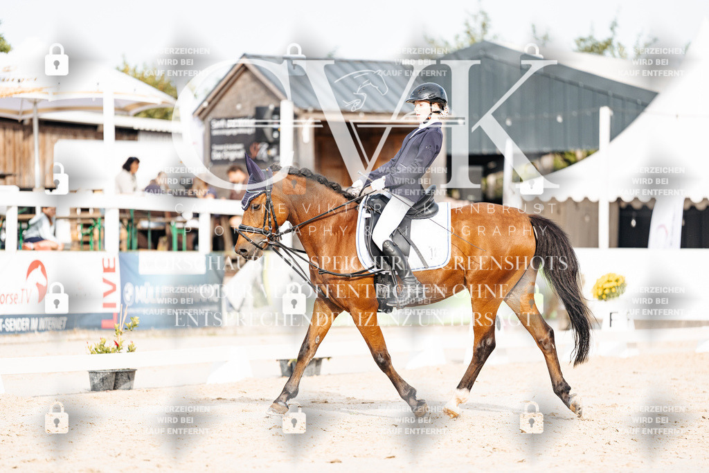 CK904446 | Turnierfotografie Pferdefotografie Trier Rheinland-Pfalz Pferdesport Reitsport Tierfotografie Sportfotografie Pferdevideo Pferdevideografie Equestrianvideography equestrianphotography  - Realisiert mit Pictrs.com
