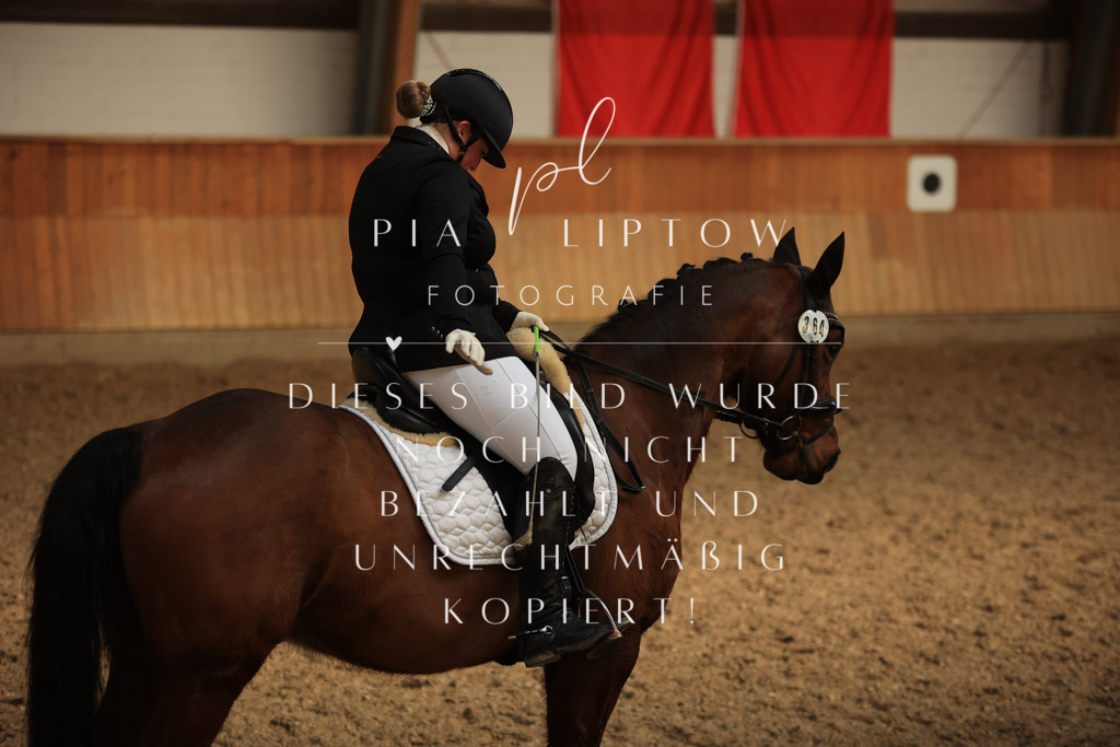 IMGT4424 | pl-fotografie