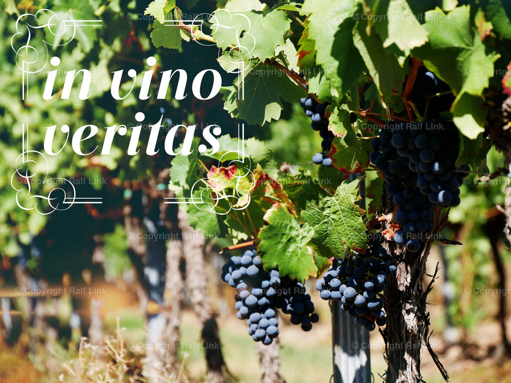 in_vino_veritas | Stockfotos, Fotos mit Miniaturfiguren und kreativen Ideen. Dabei auch vieles aus der Metropolregion Rhein-Neckar. 