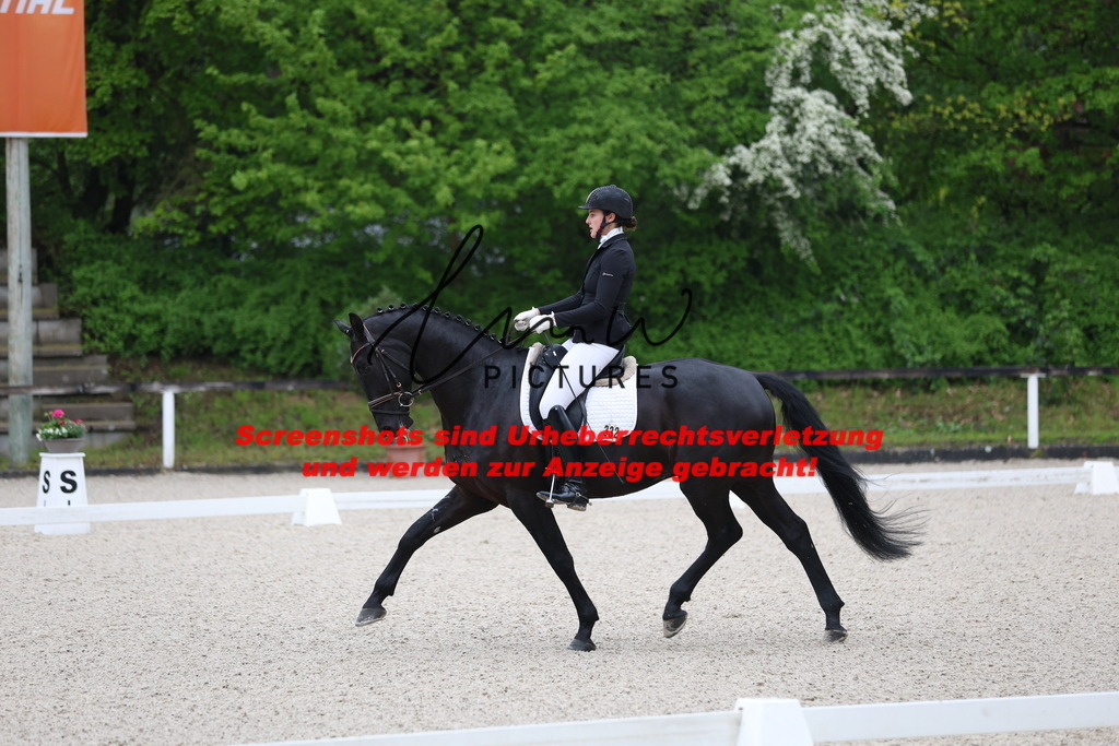 A40A6916 | lmwpictures - Realisiert mit Pictrs.com