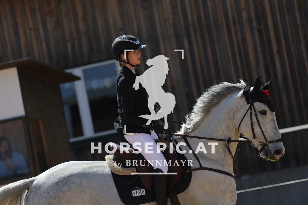 0P6A0315 | Willkommen bei Brunnmayr - Design & Fotografie – Ihrem Spezialisten für Reitturniere und Pferdeveranstaltungen in Oberösterreich, Salzburg und Bayern! Seit über 17 Jahren sind wir leidenschaftlich dabei.