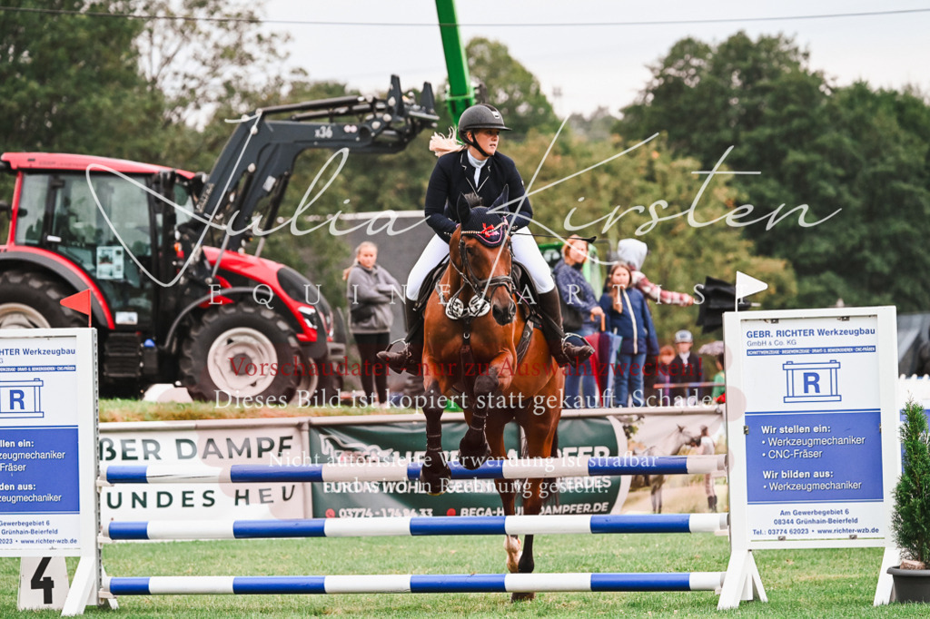 DSC_6479 | Pferde- und Turnierfotografie in Westsachsen. Pferdeportraits, Auftragszeichnungen und intuitive Kunst.