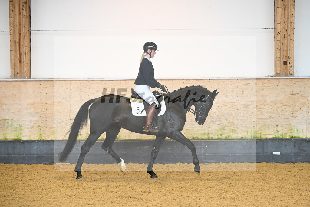 Kat-Nr. 5 Corwina US_Stahl_6222043 | hf-fotografie - Realisiert mit Pictrs.com
