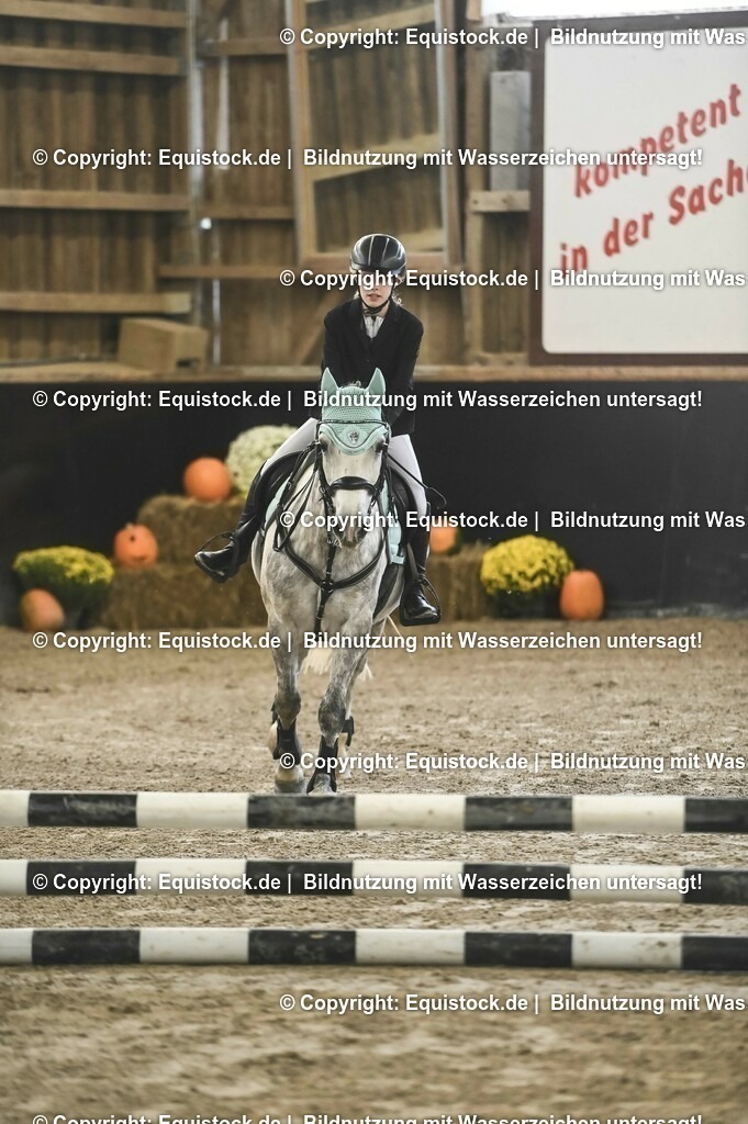 20231029_07_Stilspring-WB-50cm_0017 | Foto: Thomas Hartig