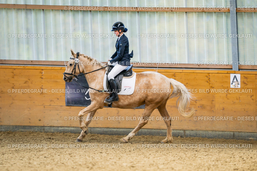 DSC03766 | Pferdegrafie