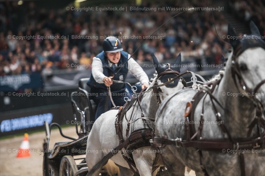 20241116_Fahren-Masterhorse_TOMsPiC_0226 | Foto: Thomas Hartig