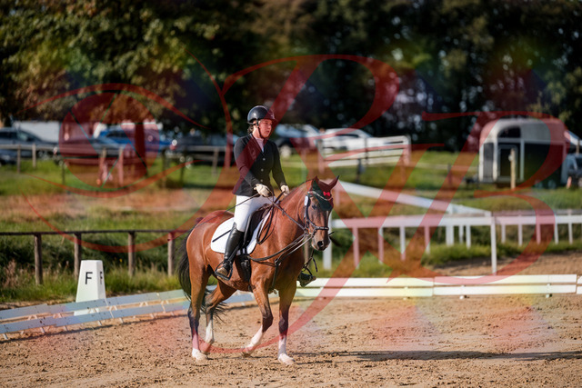 2026_10_03_Siefer-Hof_115506_Z63_30495305 | Professionelle Reitsport-, Turnier- und Eventfotografie von Robert Broda. Galerien mit ausgewählten und bearbeiteten Bildern direkt online ansehen und bestellen.