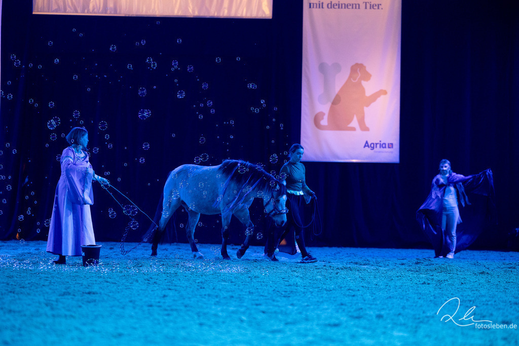 846A7912 | fotosleben - Realisiert mit Pictrs.com