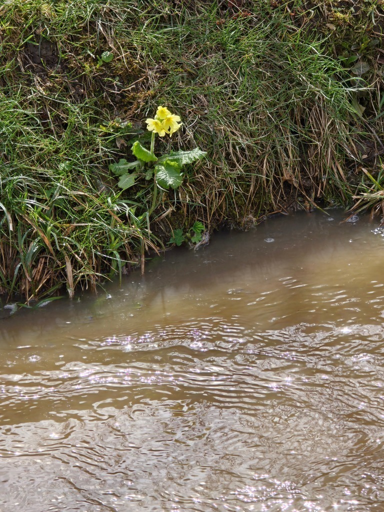 20250418_152507 | Heilkarten - Realisiert mit Pictrs.com