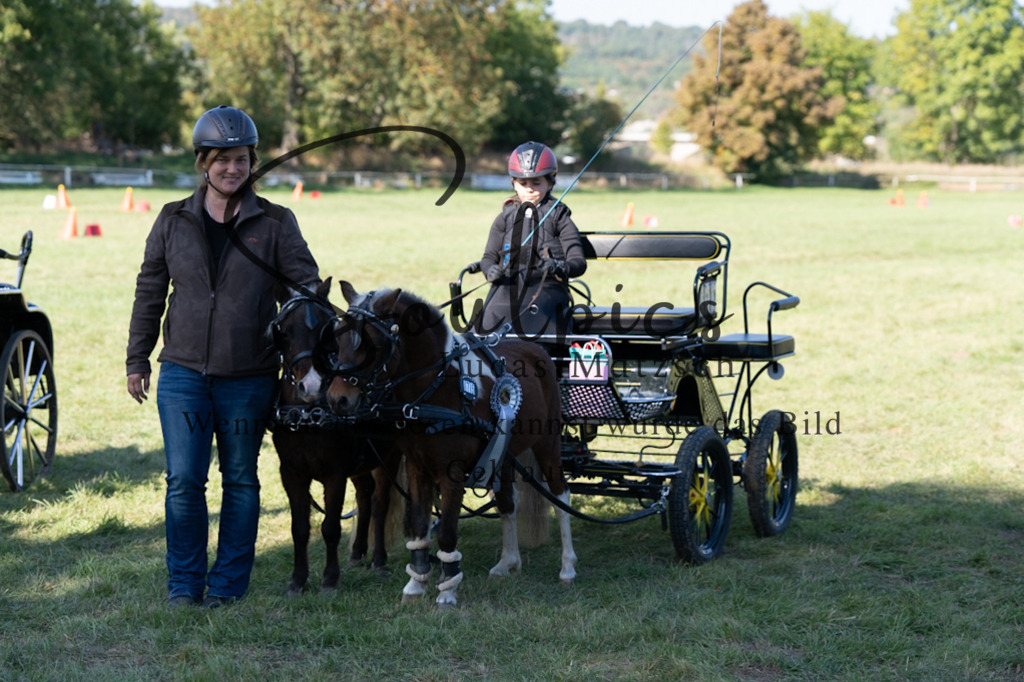 A7V04425 | Pferdefotograf