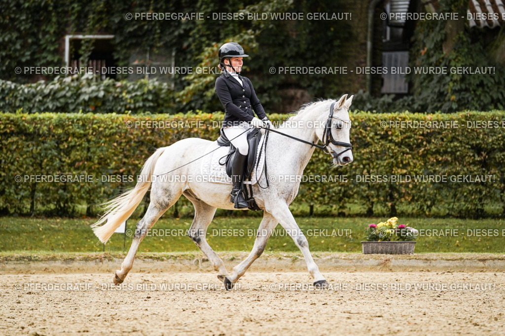 DSC07748 | Pferdegrafie