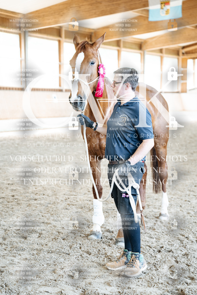 CK703222 | Turnierfotografie Pferdefotografie Trier Rheinland-Pfalz Pferdesport Reitsport Tierfotografie Sportfotografie Pferdevideo Pferdevideografie Equestrianvideography equestrianphotography  - Realized with Pictrs.com