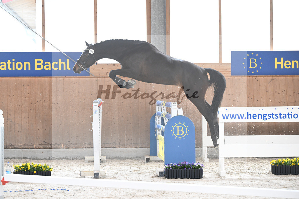 Kat-Nr. 6 Aristomacho v. Kros_Schneider_5250226 | hf-fotografie - Realisiert mit Pictrs.com