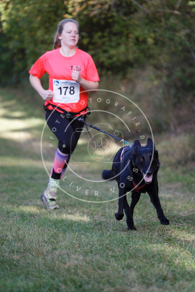0L8A5422 | Hundefotografie, Tierfotograf, Pfotenfotografie, Fotoshooting Hund, Hunde Portrait, Hundesport, Hundeportraits, Heideshooting, Hunde, Sportfotograf, Hundefotograf, Turnierhundsport, THS,  - Realisiert mit Pictrs.com