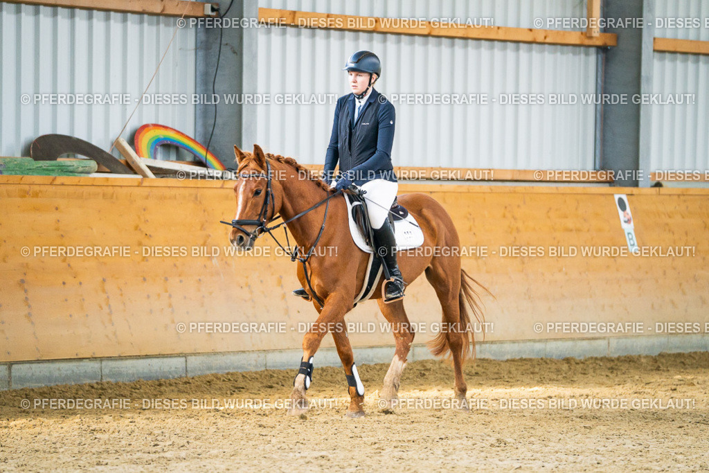 DSC01032 | Pferdegrafie