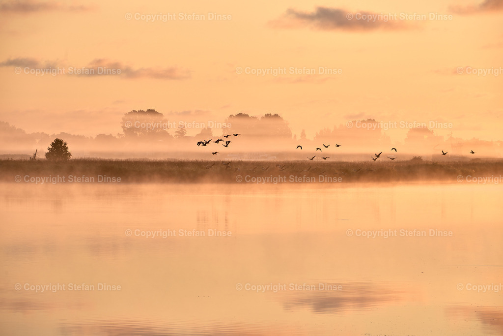 _DSC7131 | Findlinge im Eis, Zeesenboote bei der Traditionsregatta, eine Seebrücke im Sonnenaufgang - mit den Bildern aus dieser Galerie erhalten Sie wunderschöne Aufnahmen über das ganze Jahr. Ein tolles Produkt zum Verschenken, Werben oder zum Träumen vom nächsten - Realisiert mit Pictrs.com