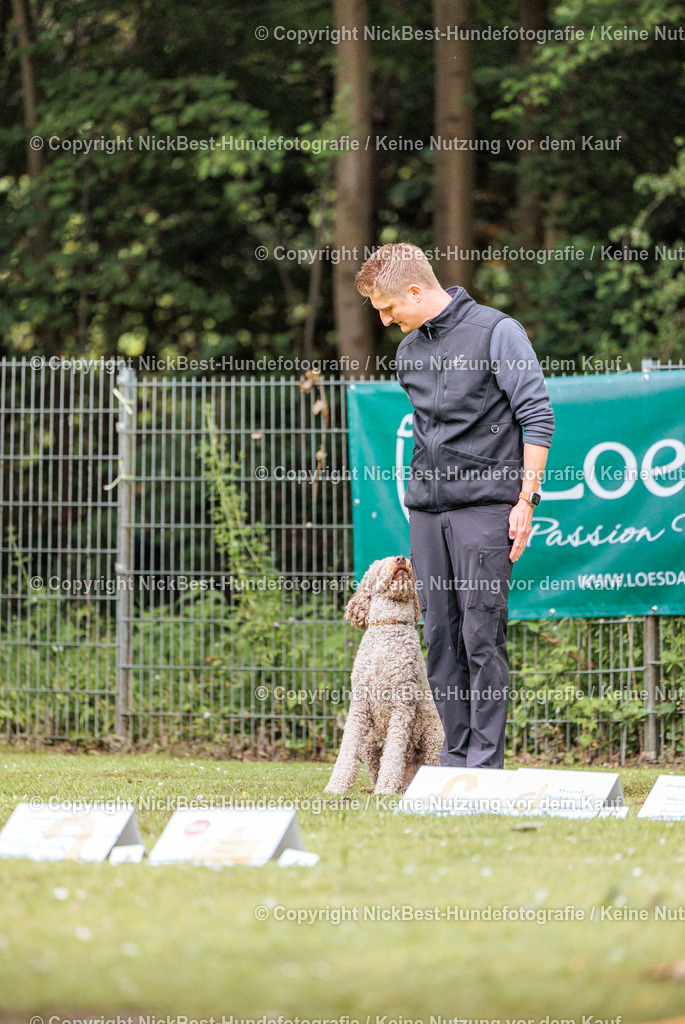 RO-Blumenthal-2026-Nickbest-Hundefotografie-4189 | Dein Hund! Dein Moment! Deine Erinnerungen! Hundefotografie in Bremen Blumenthal. Ich fange die besonderen Momente deines Vierbeiners ein – ob Indoor mit Blitzanlage oder in der freien Natur. Sicher dir dein Moment und dein Termin für eure Erinnerungen.