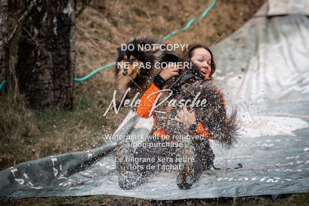 nelerasche_1330-1400_15 | nelerasche