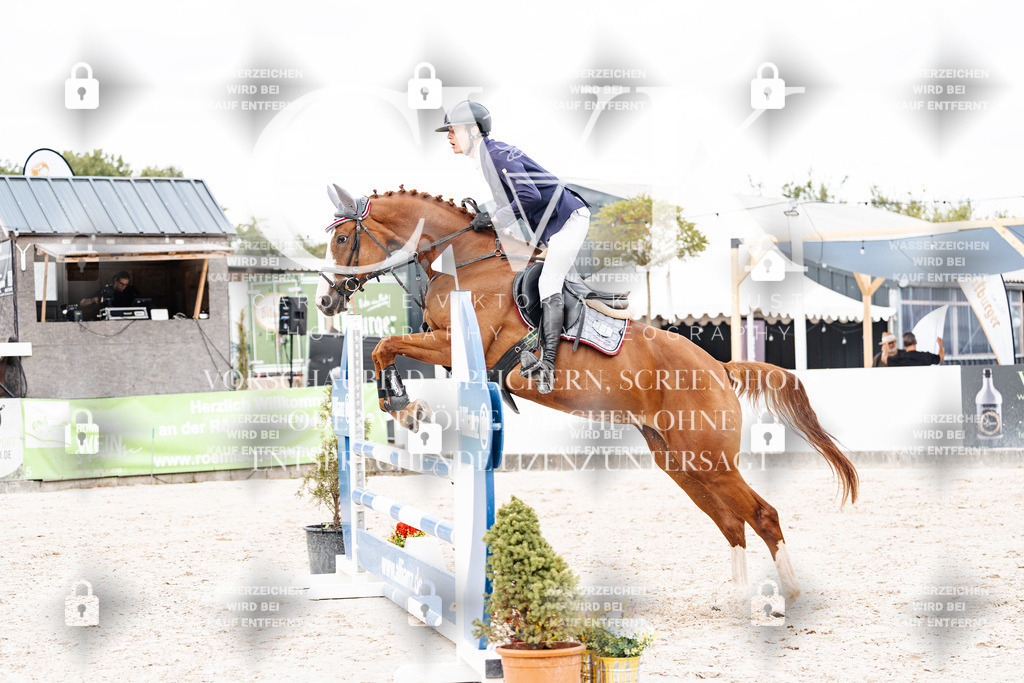 CK909444 | Turnierfotografie Pferdefotografie Trier Rheinland-Pfalz Pferdesport Reitsport Tierfotografie Sportfotografie Pferdevideo Pferdevideografie Equestrianvideography equestrianphotography  - Realisiert mit Pictrs.com