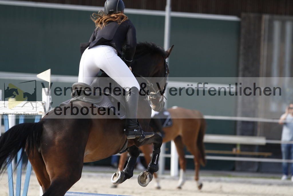 _MG_3162 | equestrian-live-com